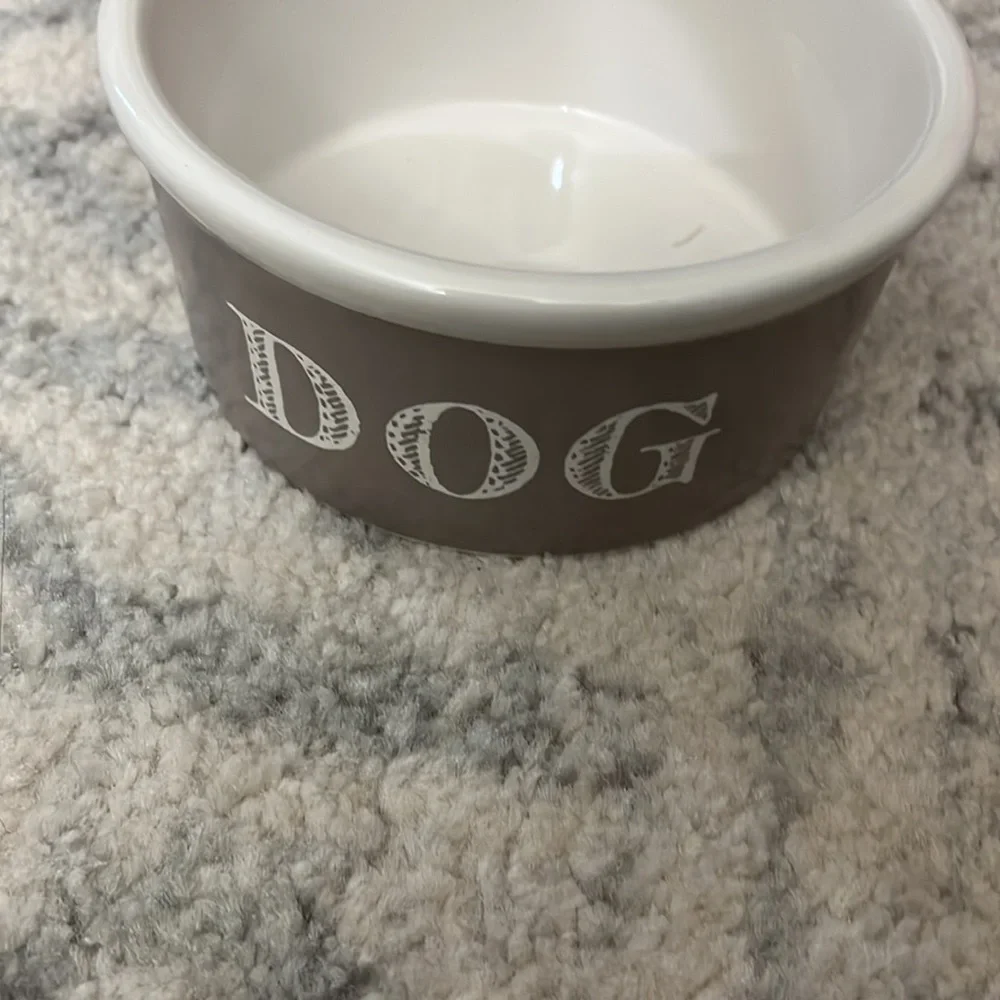 Dog Bowl